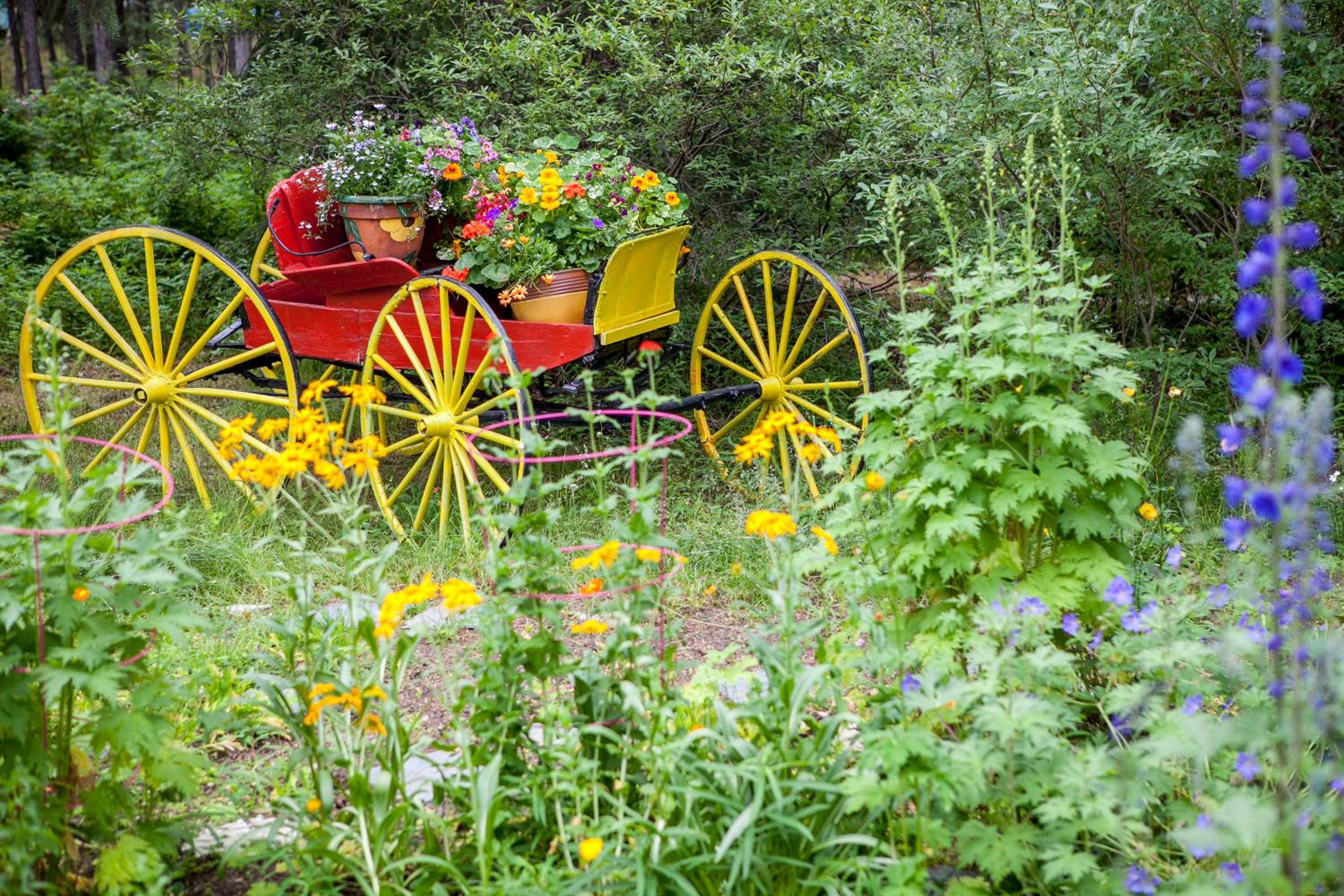 Hidden Valley Bed and Breakfast