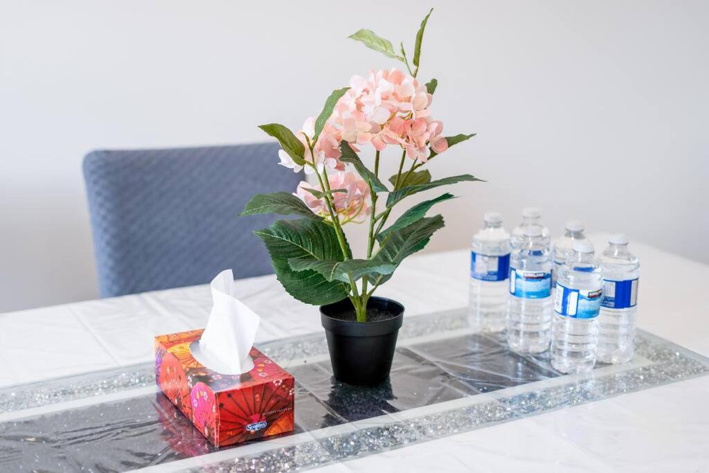 Tulip Smartments Brampton-Spacious 4 Bedroom Near Airport