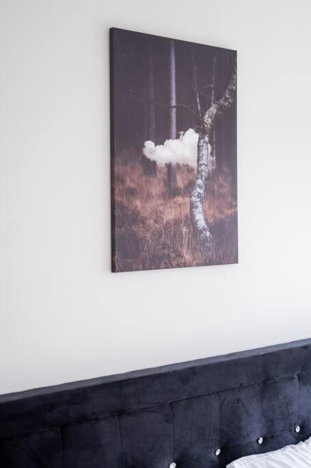 Tulip Smartments Brampton-Spacious 4 Bedroom Near Airport