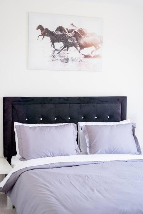 Tulip Smartments Brampton-Spacious 4 Bedroom Near Airport