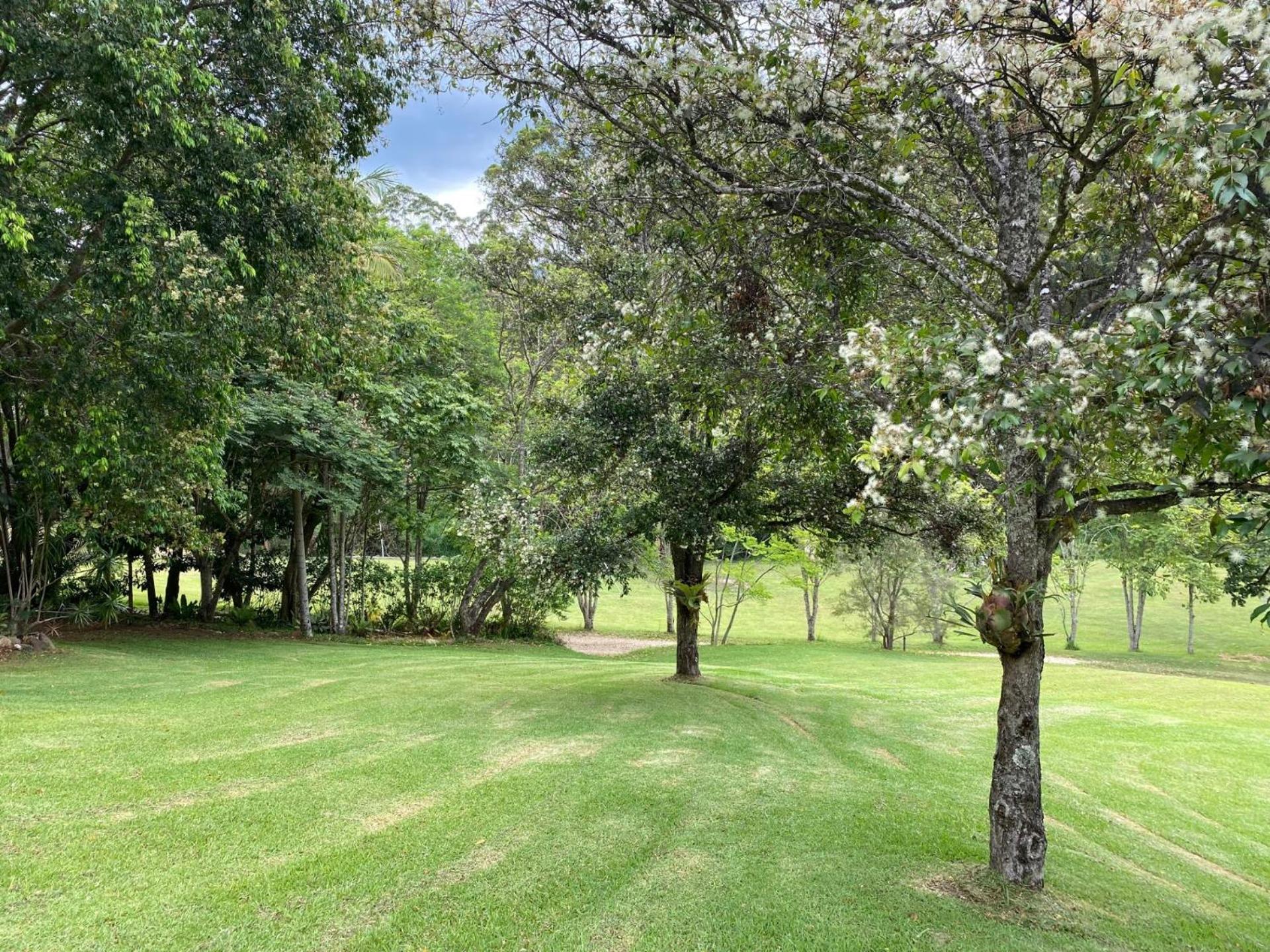 Rainforest Cabin in Doon Doon NSW