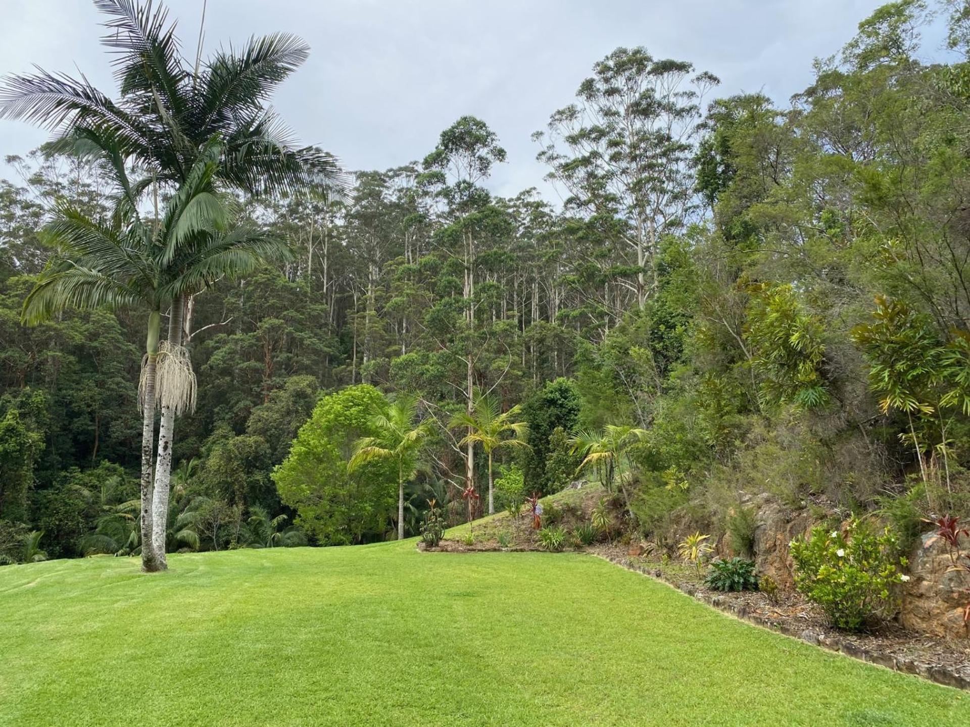 Rainforest Cabin in Doon Doon NSW