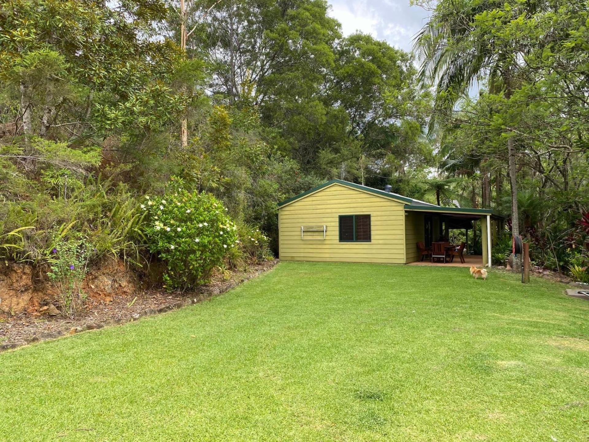 Rainforest Cabin in Doon Doon NSW