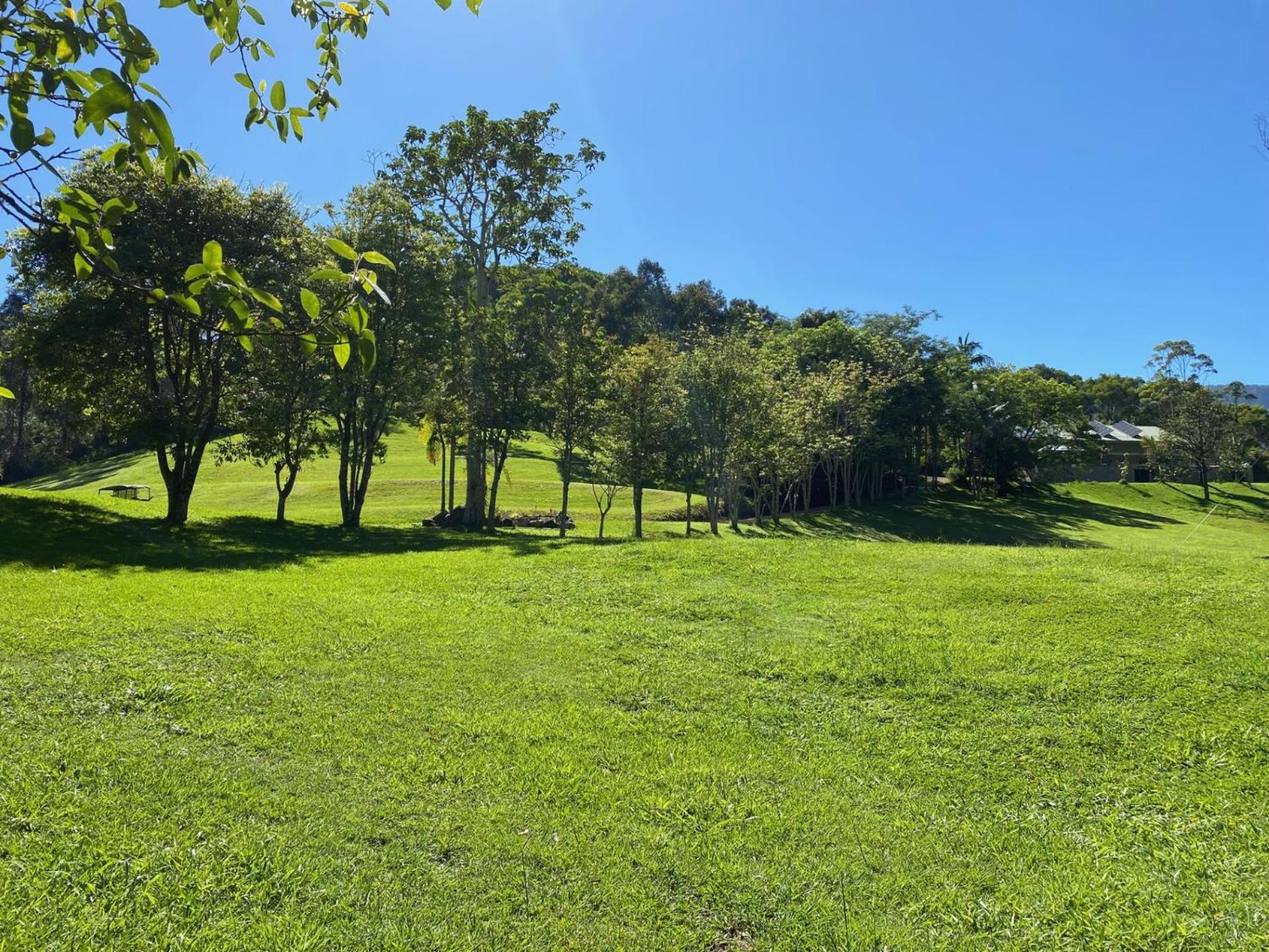 Rainforest Cabin in Doon Doon NSW