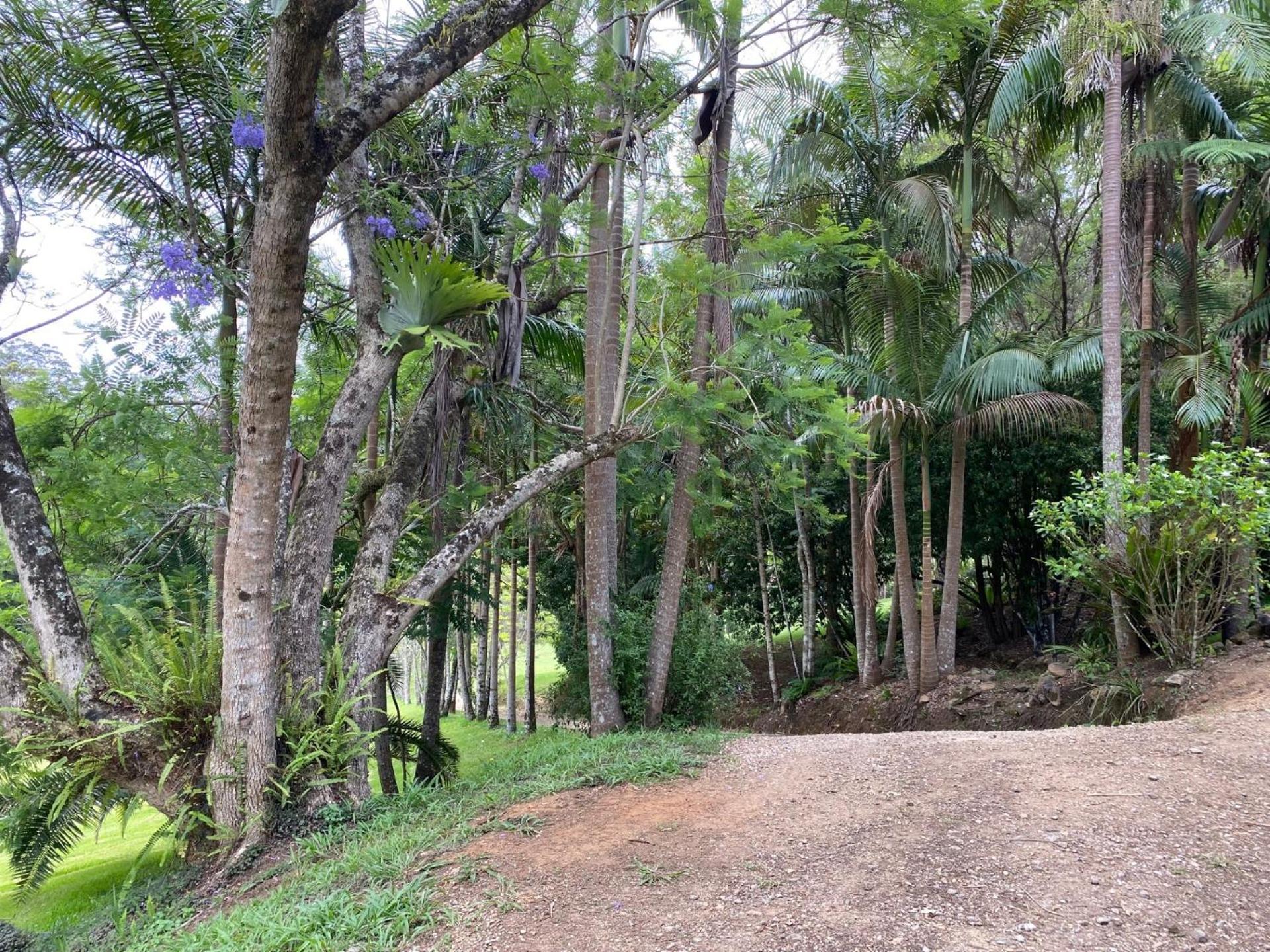 Rainforest Cabin in Doon Doon NSW