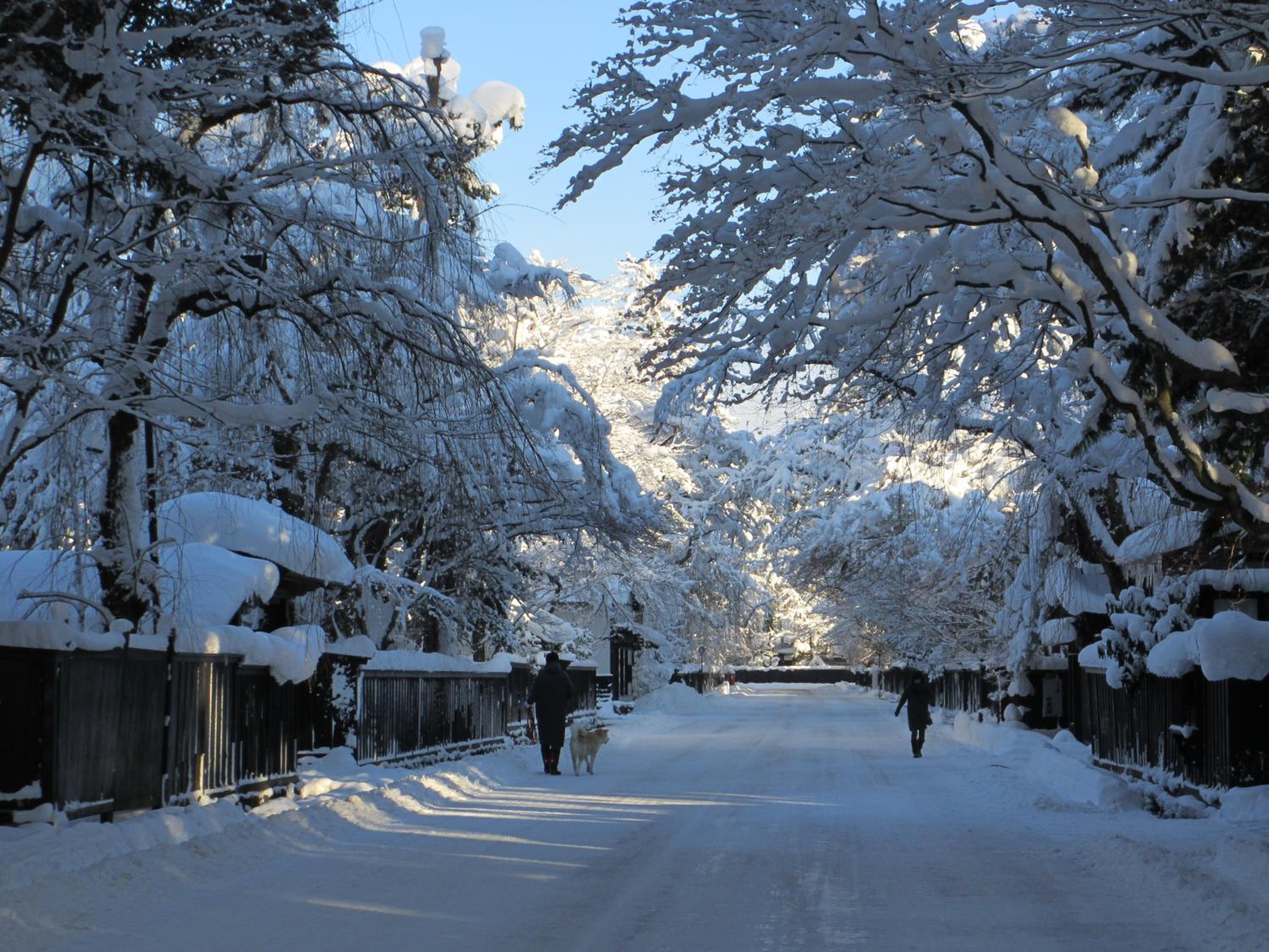 Katakurinohana