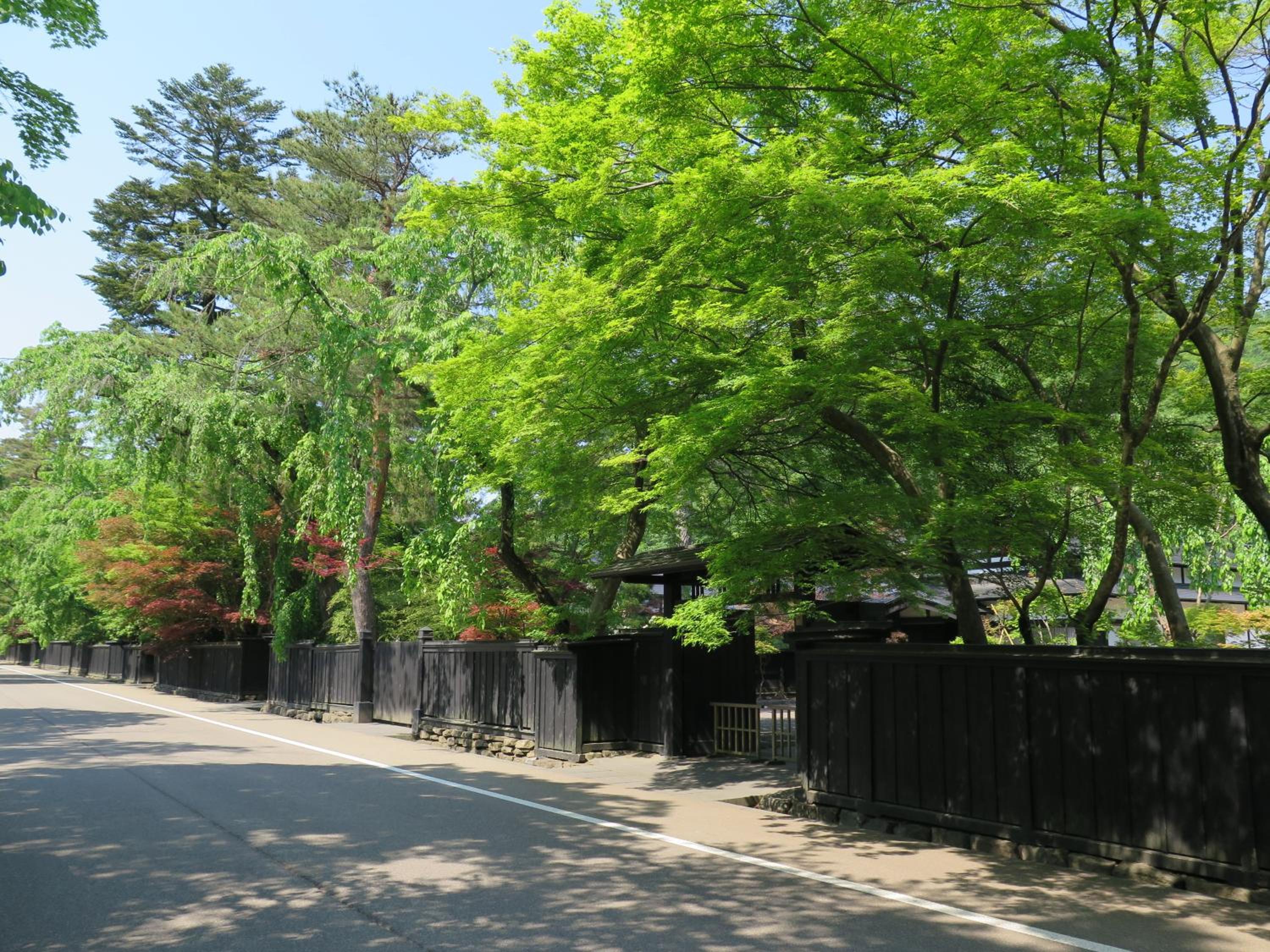 Katakurinohana