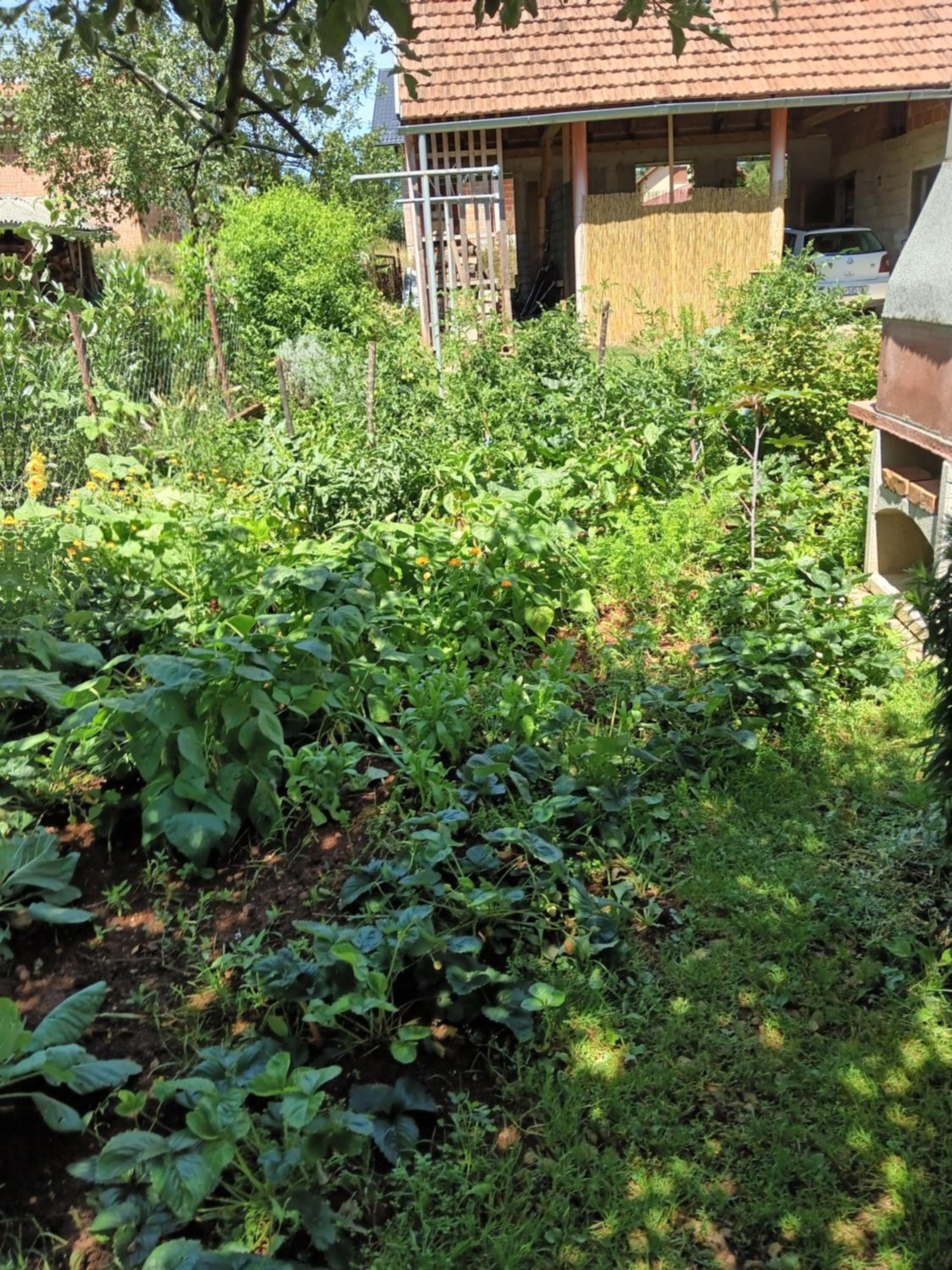 APARTMAN PAVELIĆ view 5