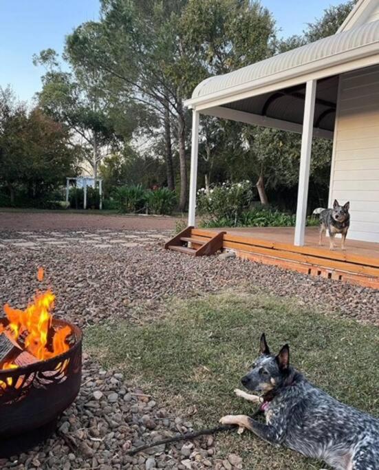 Gorgeous Country Cottage In Lovely Private Grounds