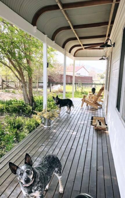 Gorgeous Country Cottage In Lovely Private Grounds