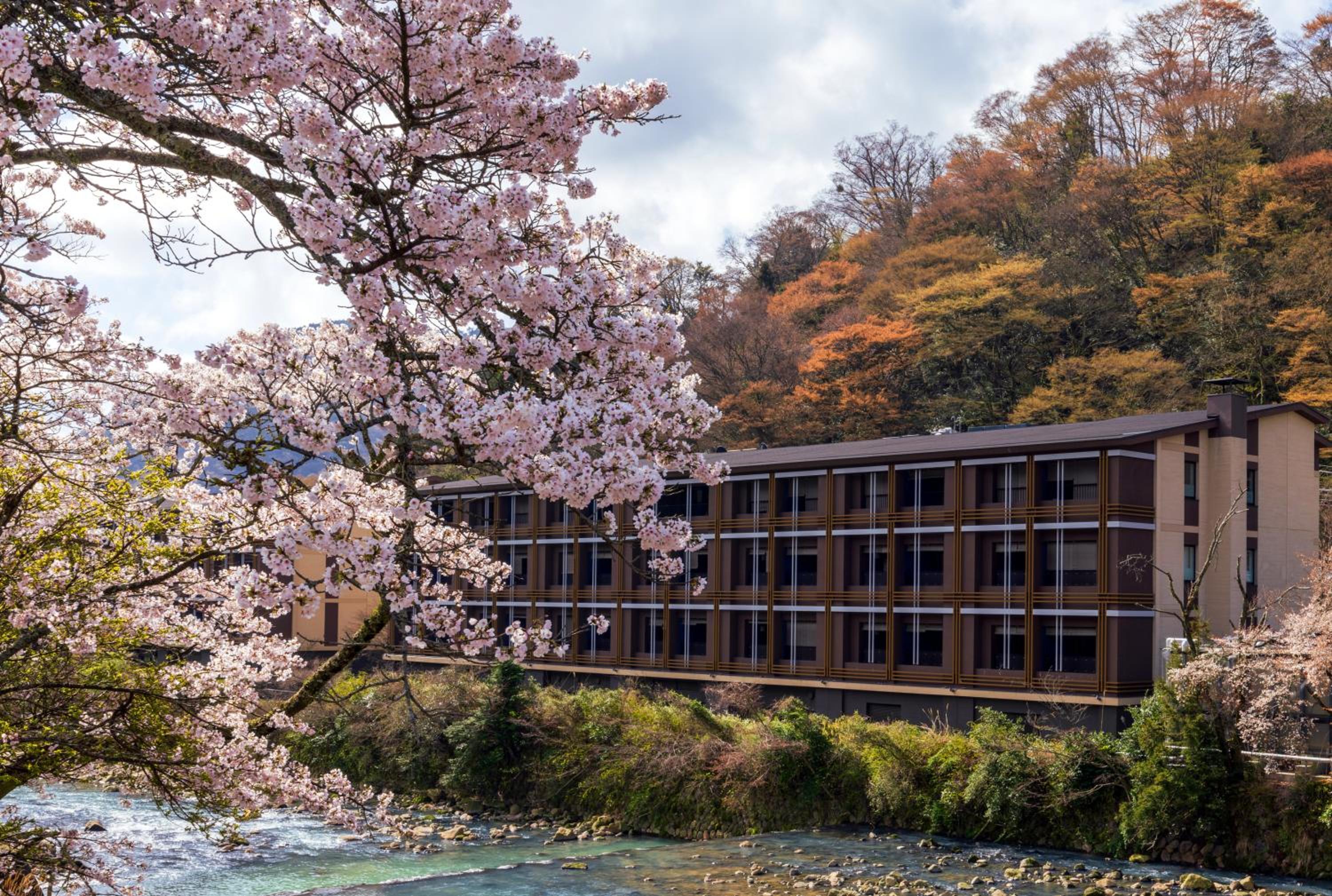 Hotel Indigo Hakone Gora by IHG 7