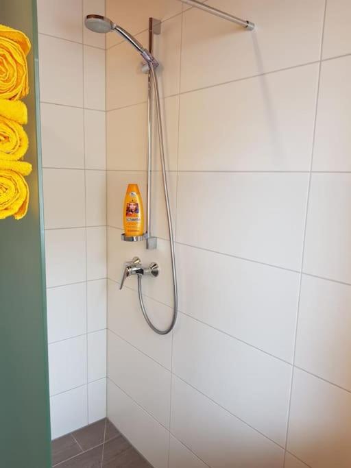 Gemütliche Wohnung mit Blick auf den Zahmen Kaiser