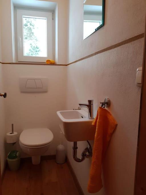 Gemütliche Wohnung mit Blick auf den Zahmen Kaiser