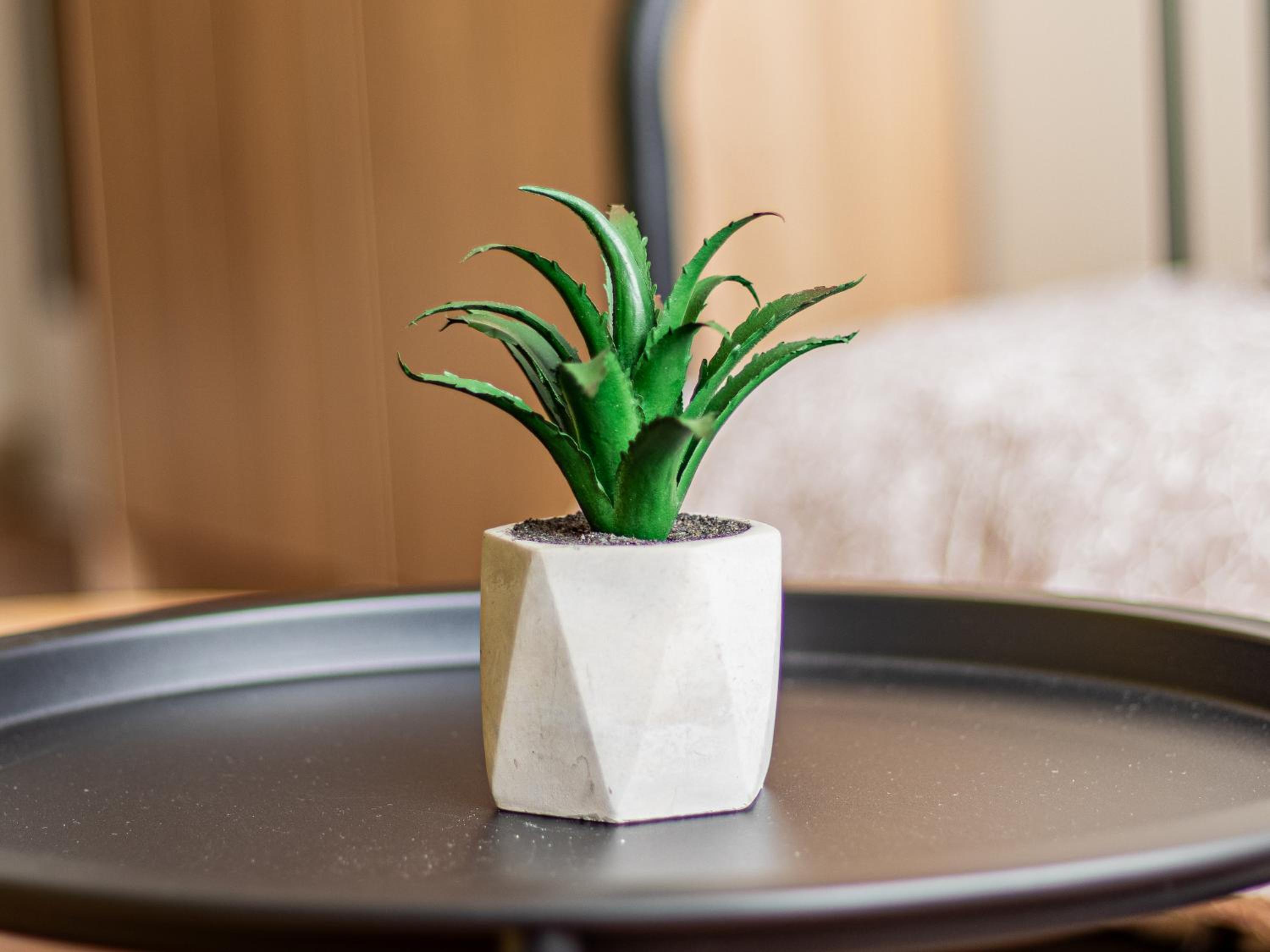 Nevsky Loft - Central Sofia Studio