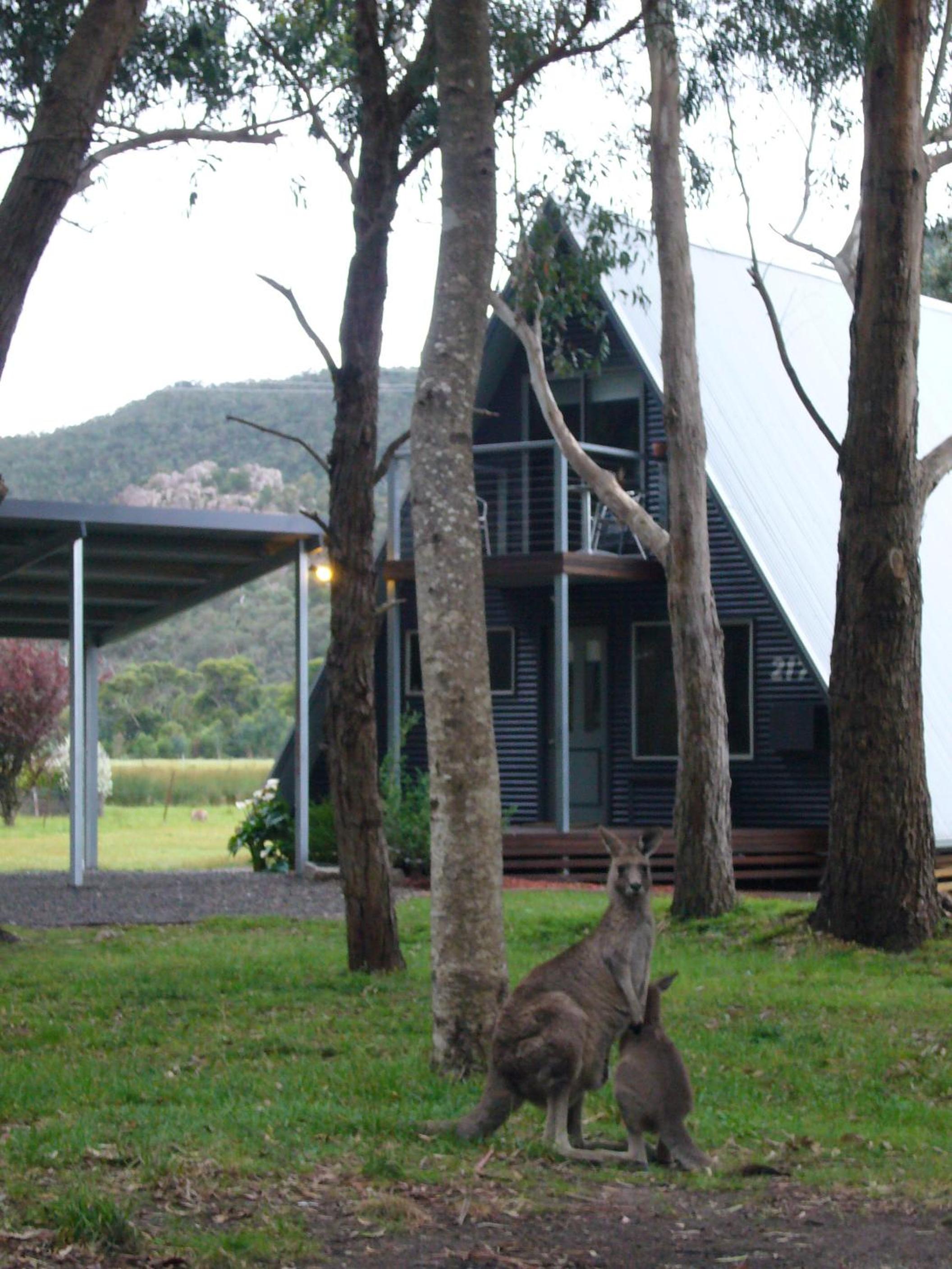 The A-Frame view 2