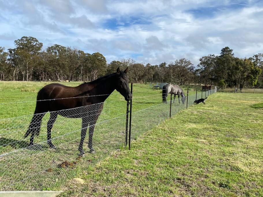 The Sugarloaf Homestead