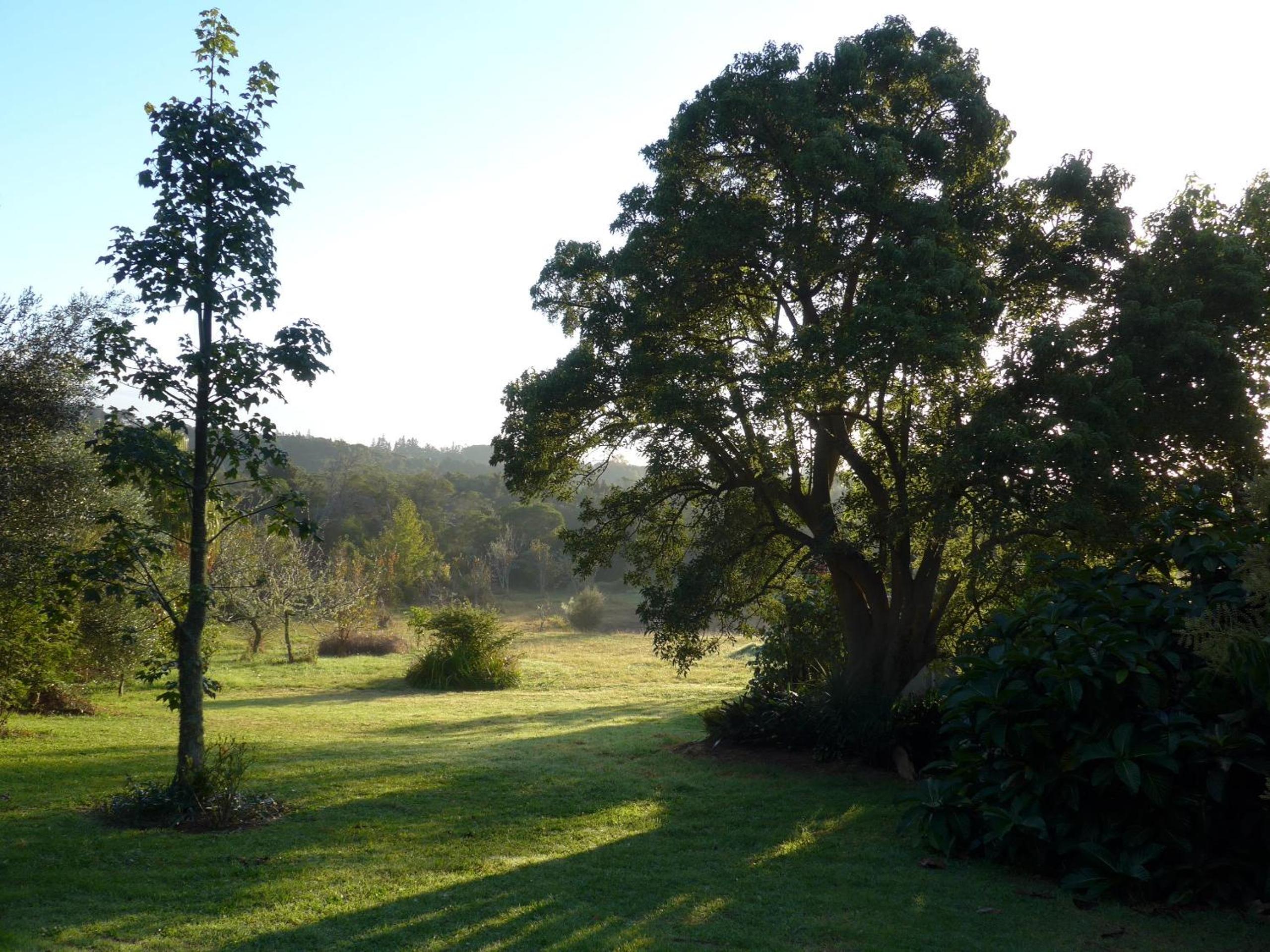 Wharepuke Subtropical Accommodation
