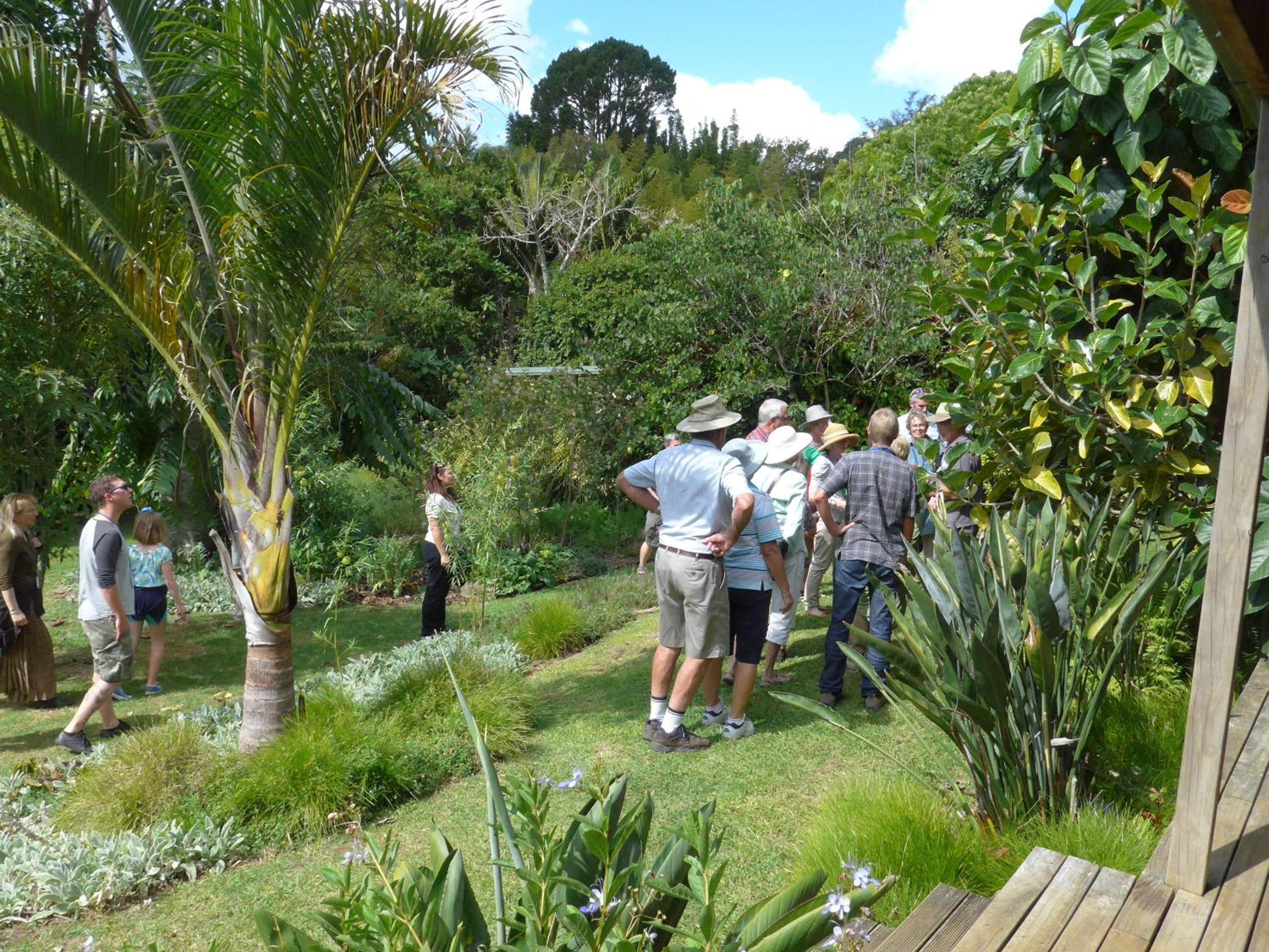 Wharepuke Subtropical Accommodation