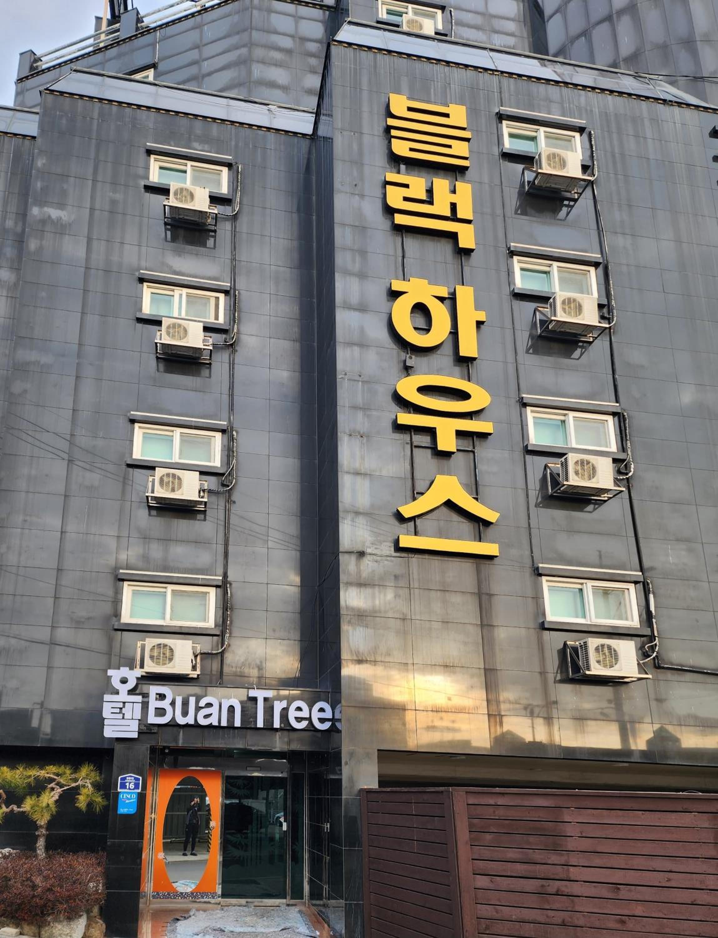 Buantreehotel Blackhouse