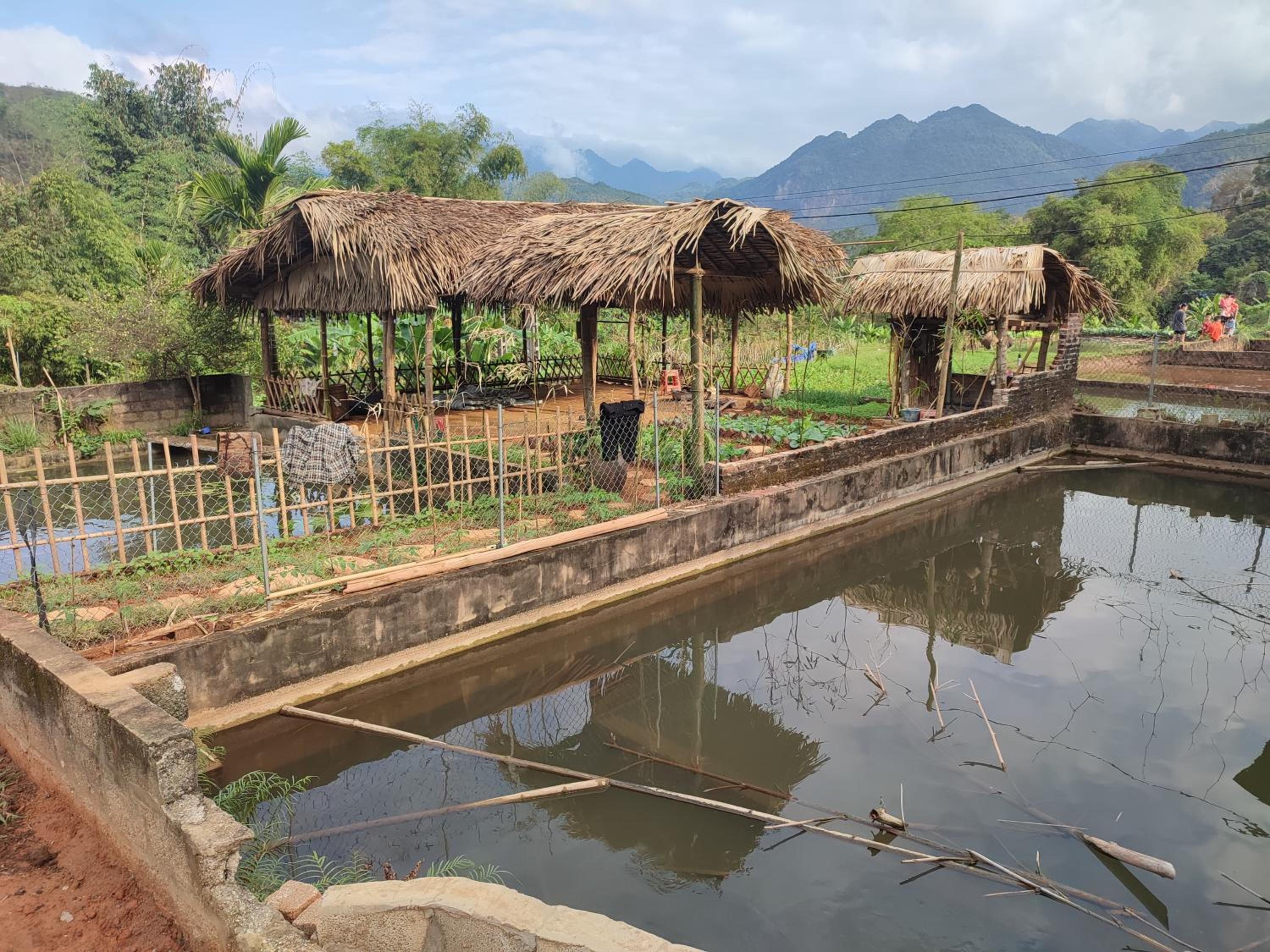 Hải Nam Homestay view 2