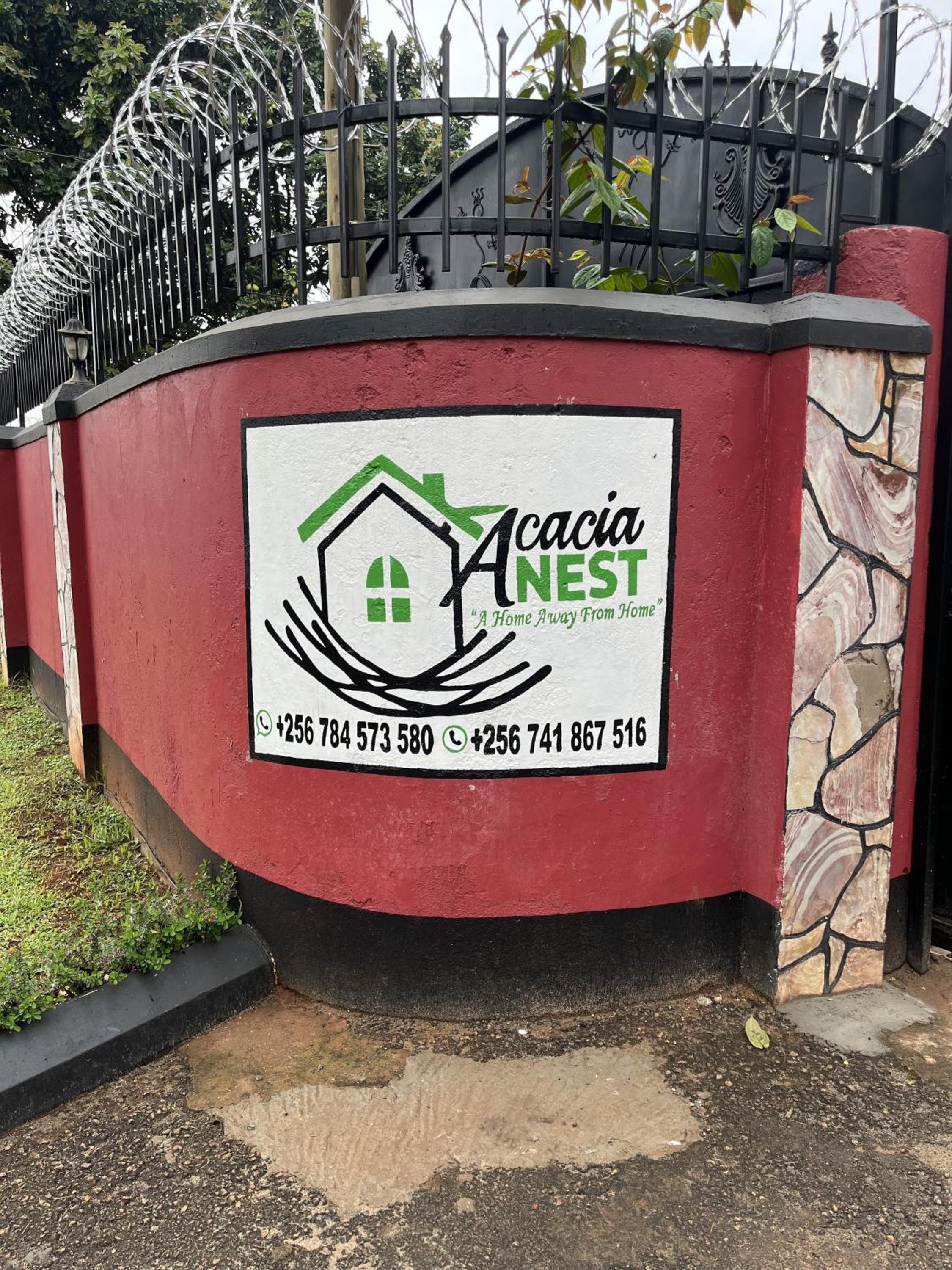 Acacia Nest view 2