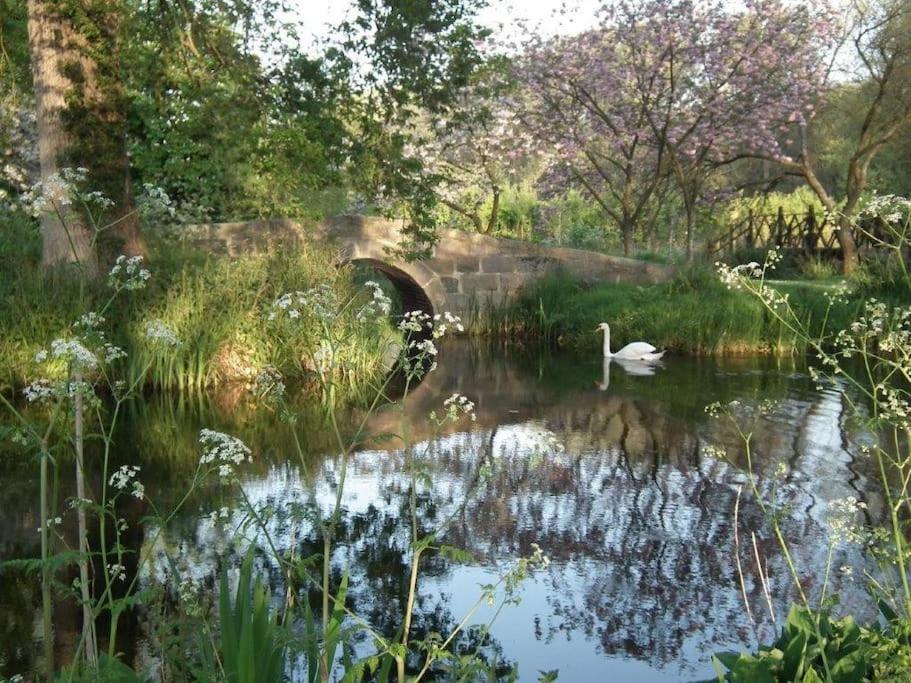 Photo 27