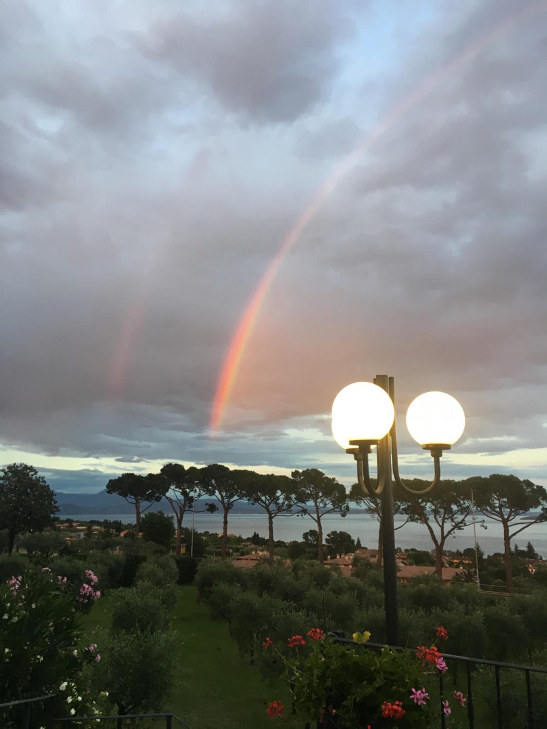 Photo 17