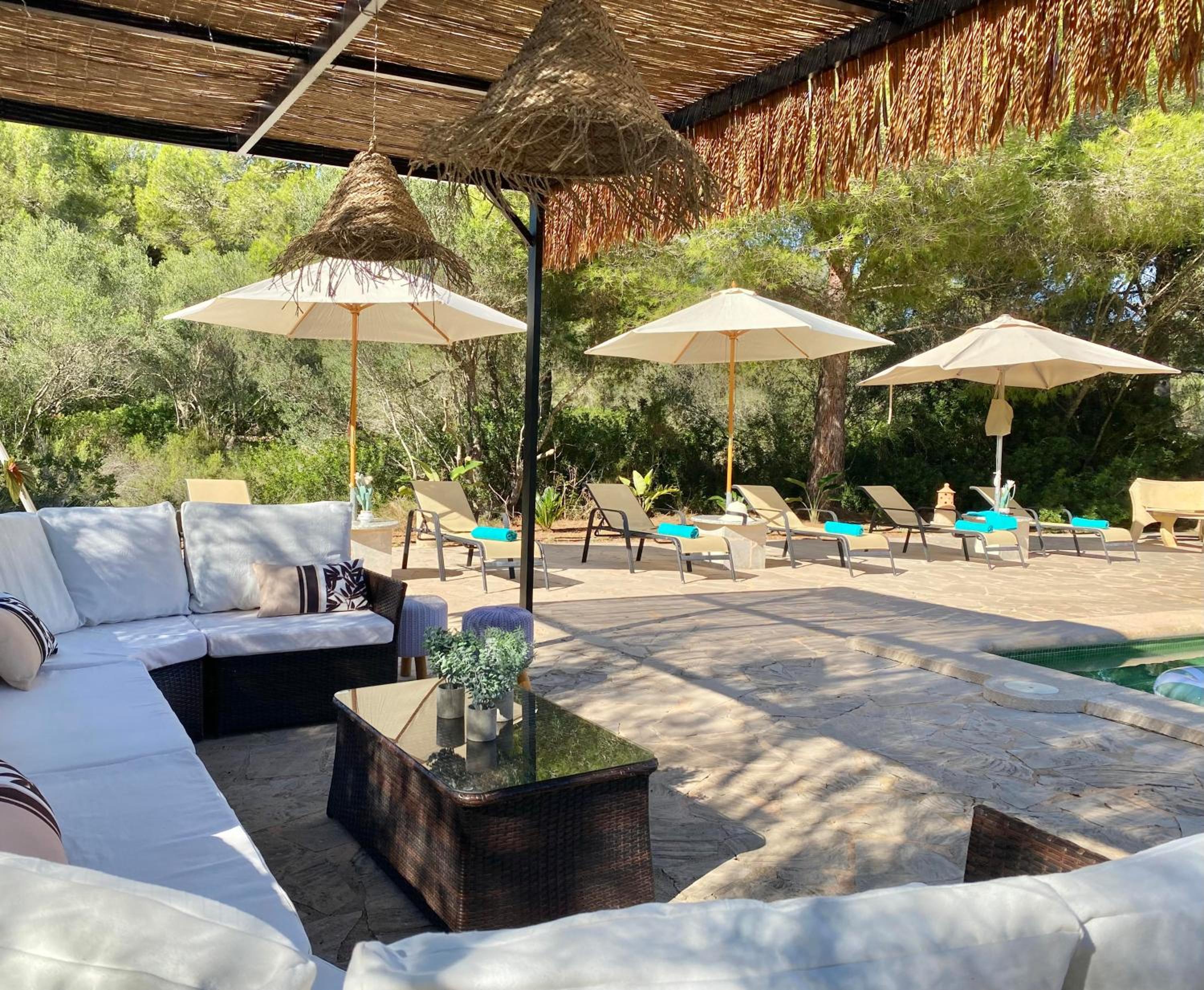 Pine tree Finca Espiga