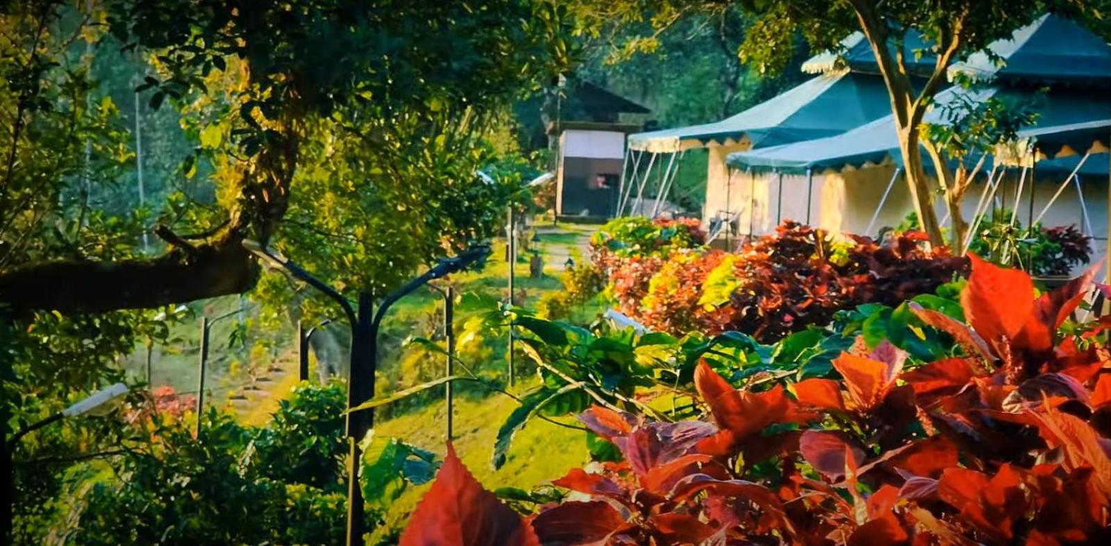 Three Hills Resort & Spa, Coorg