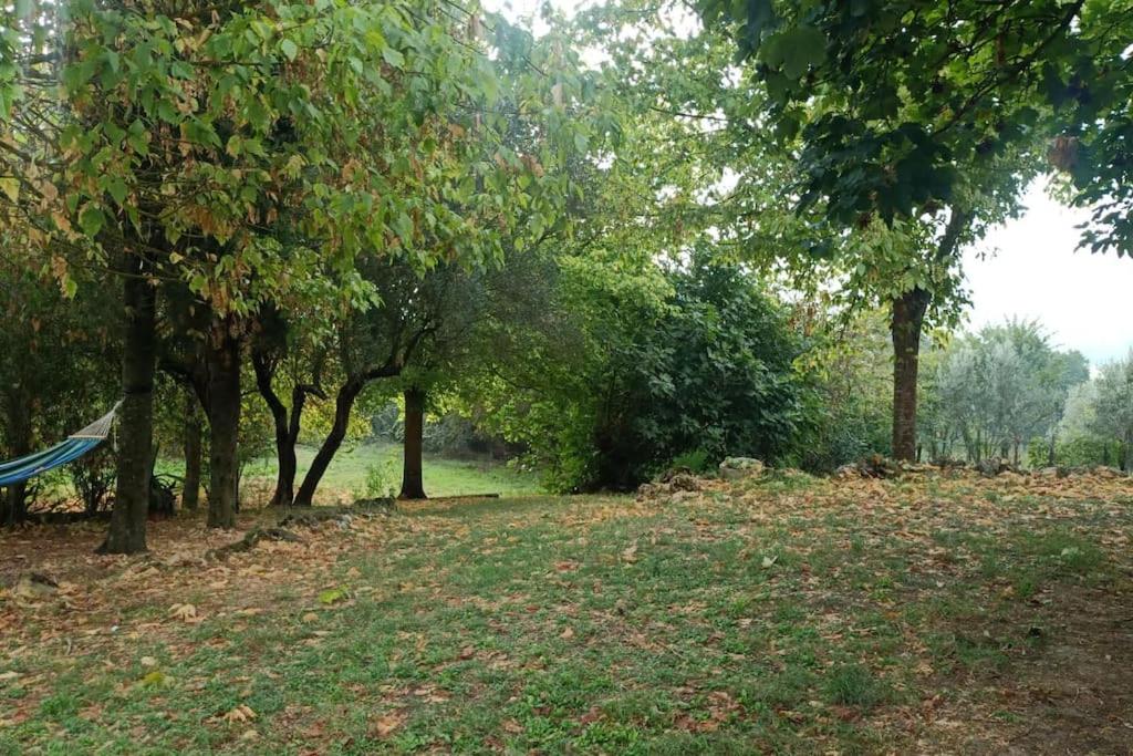 Photo 28