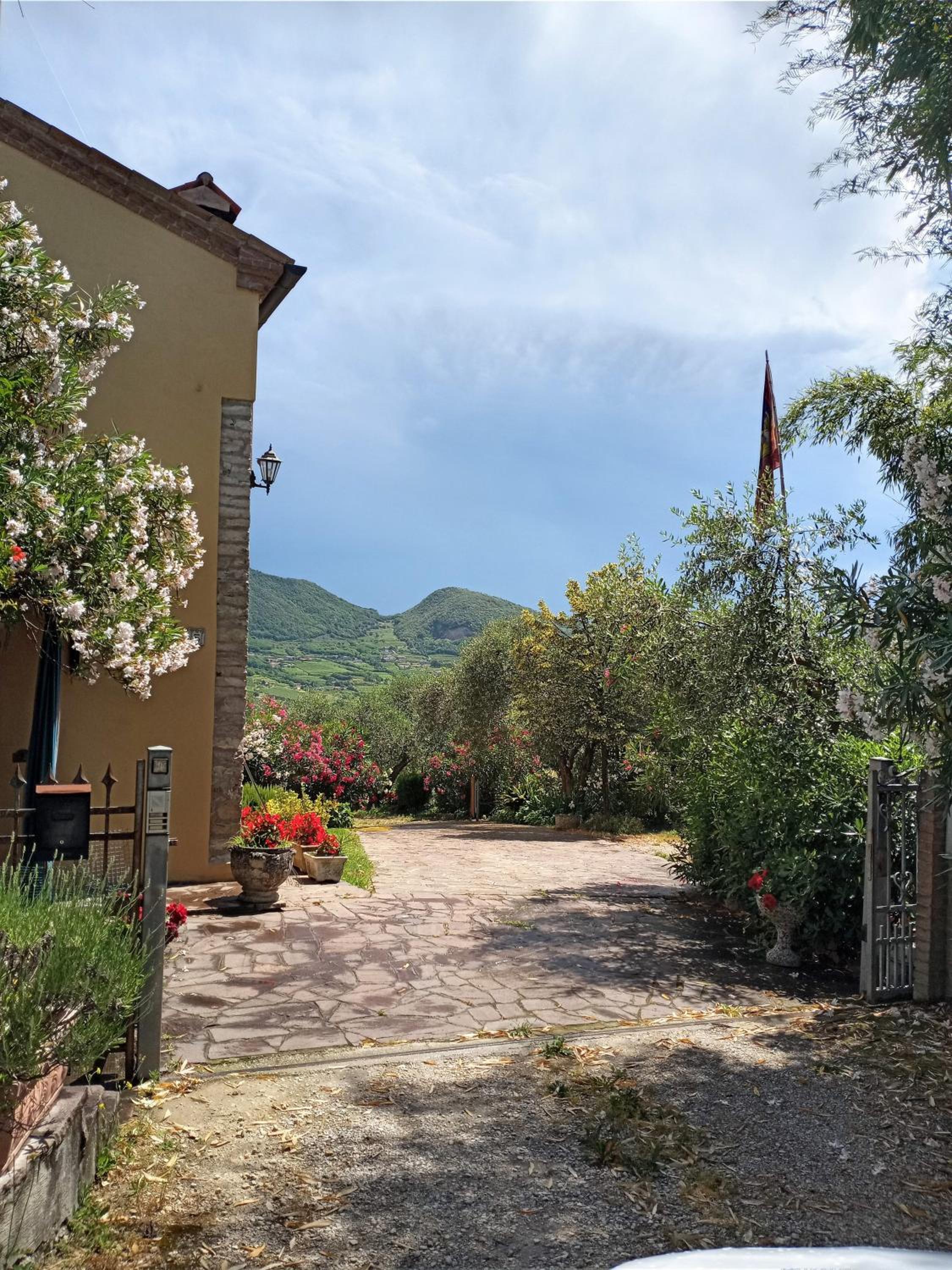 Casa dell'uliveto view 2