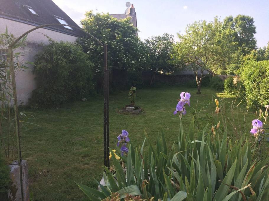 Photo 33