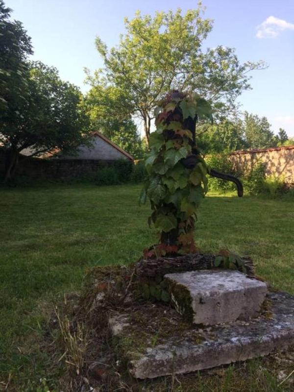 Photo 31