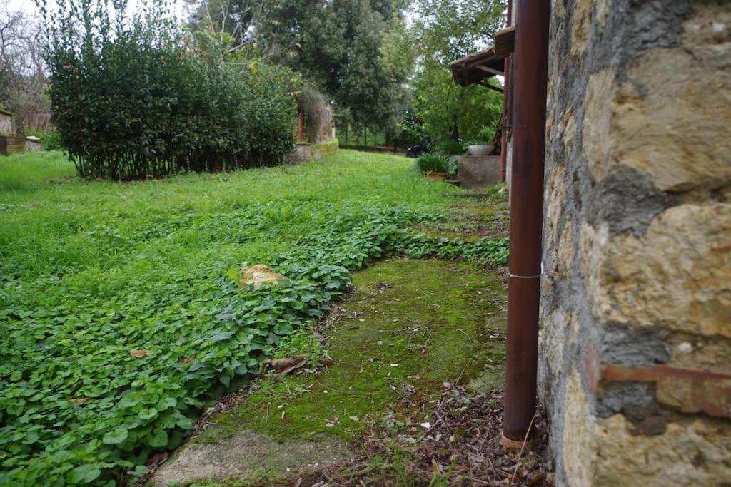 Rustico appartamento in tenuta agricola - Umbria view 3