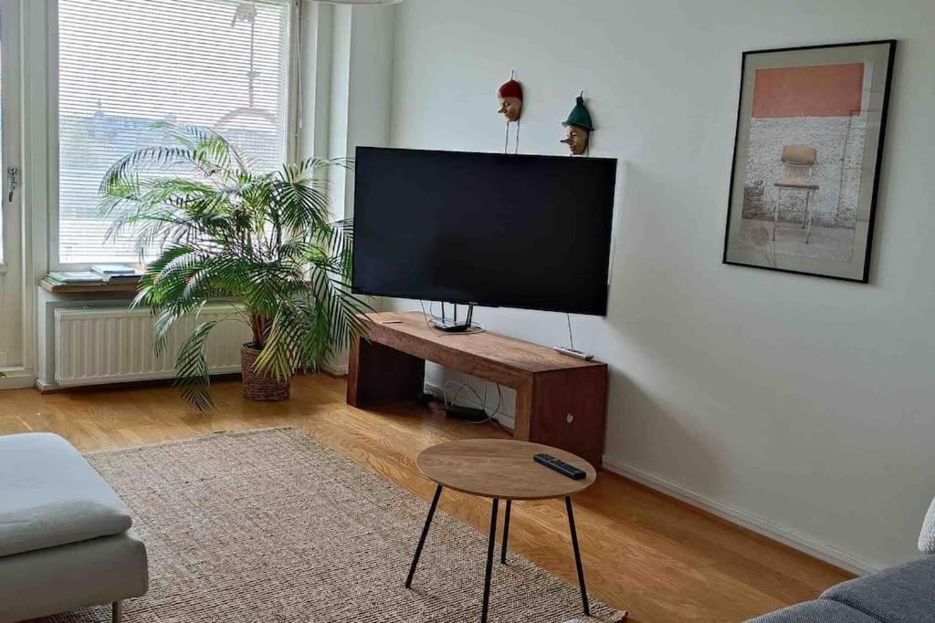 Cozy completely renovated flat (sis. Alv) view 3