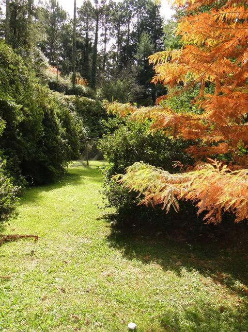 Casa dentro do Horto Florestal - puro sossego!