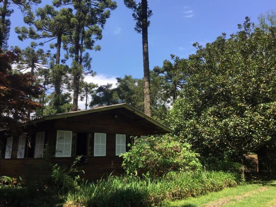 Casa dentro do Horto Florestal - puro sossego!
