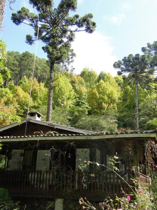 Casa dentro do Horto Florestal - puro sossego!