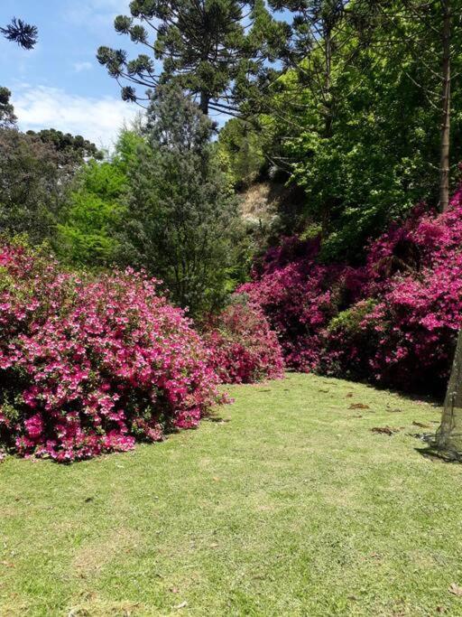 Casa dentro do Horto Florestal - puro sossego!
