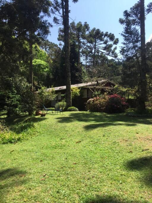 Casa dentro do Horto Florestal - puro sossego!
