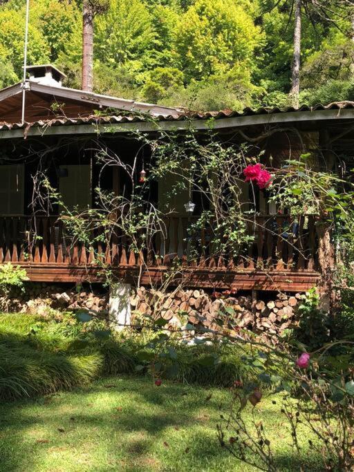 Casa dentro do Horto Florestal - puro sossego!