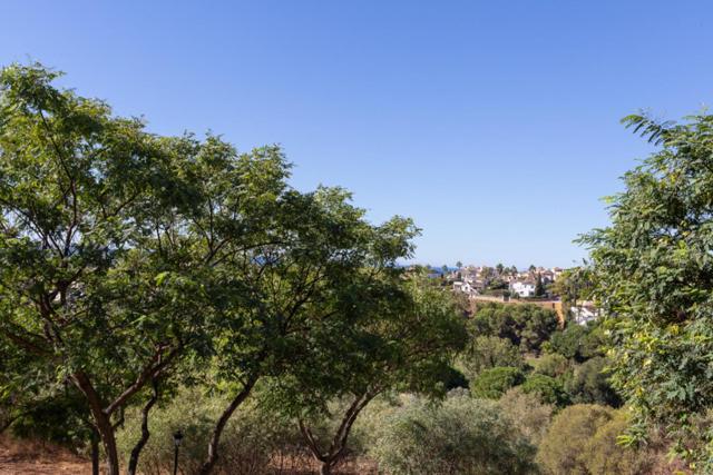 Marbella Los Lagos de Santa Maria Golf