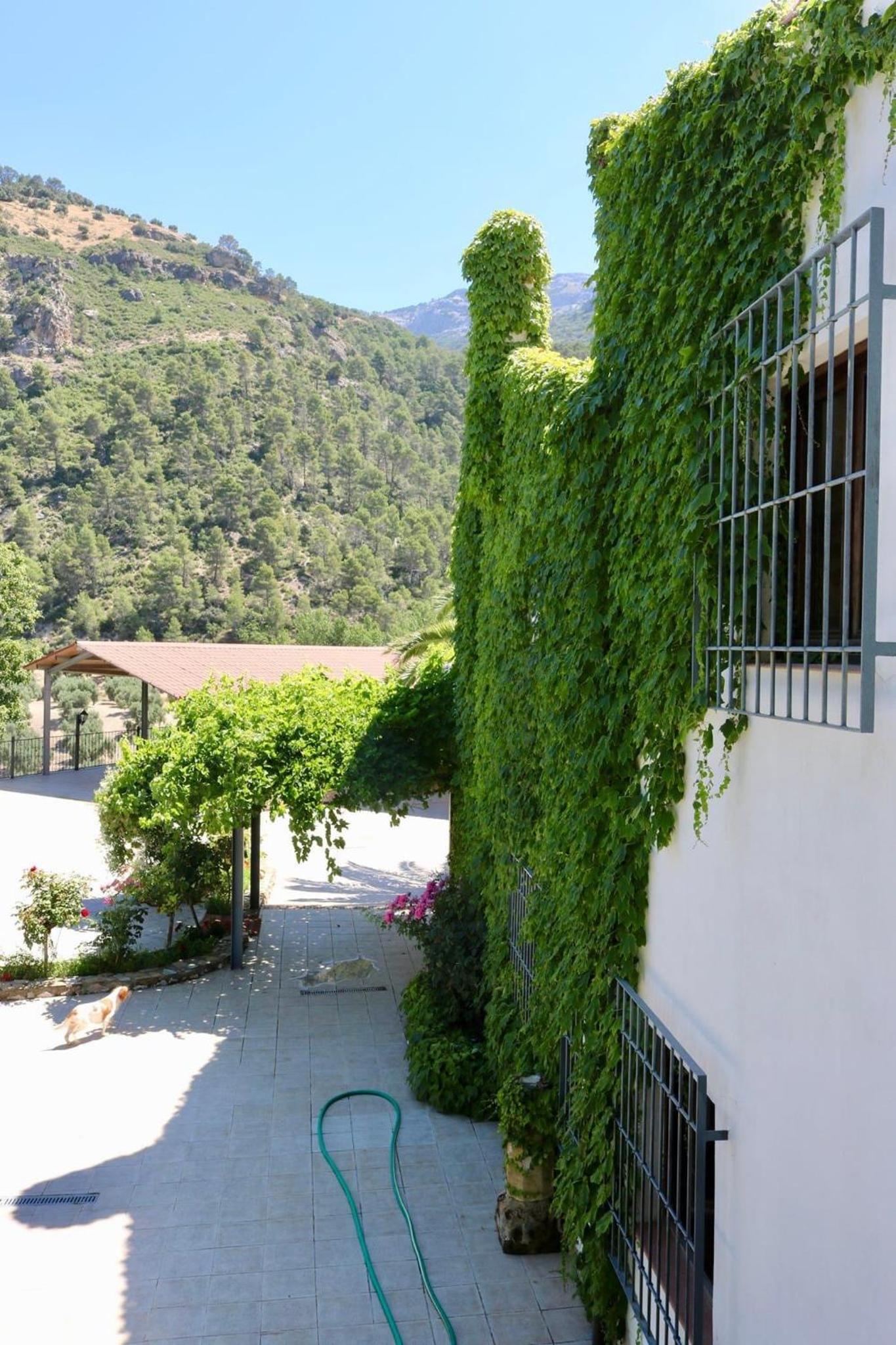 Casas Rurales Cortijo El Marqués