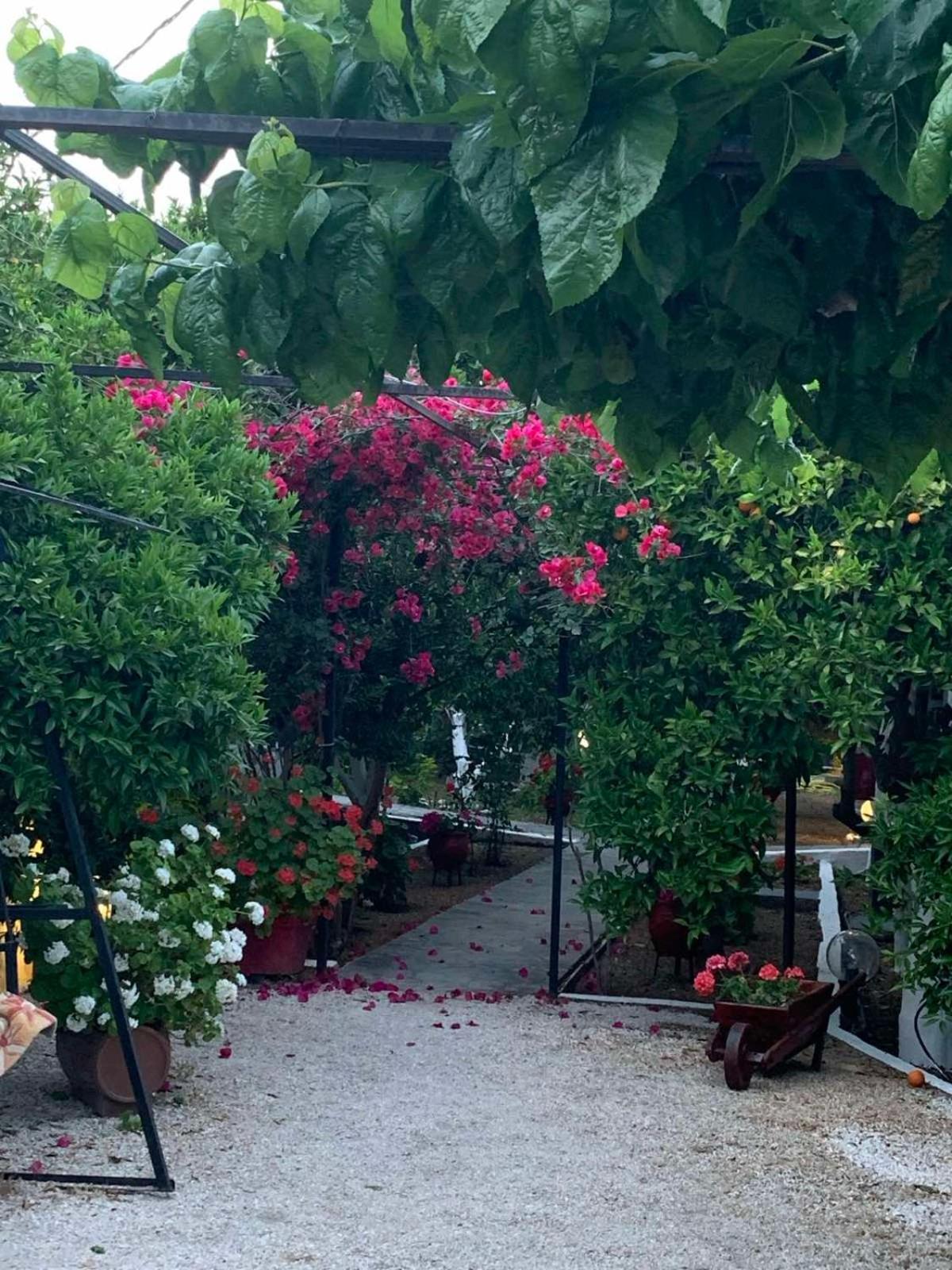 CottonClub Villas