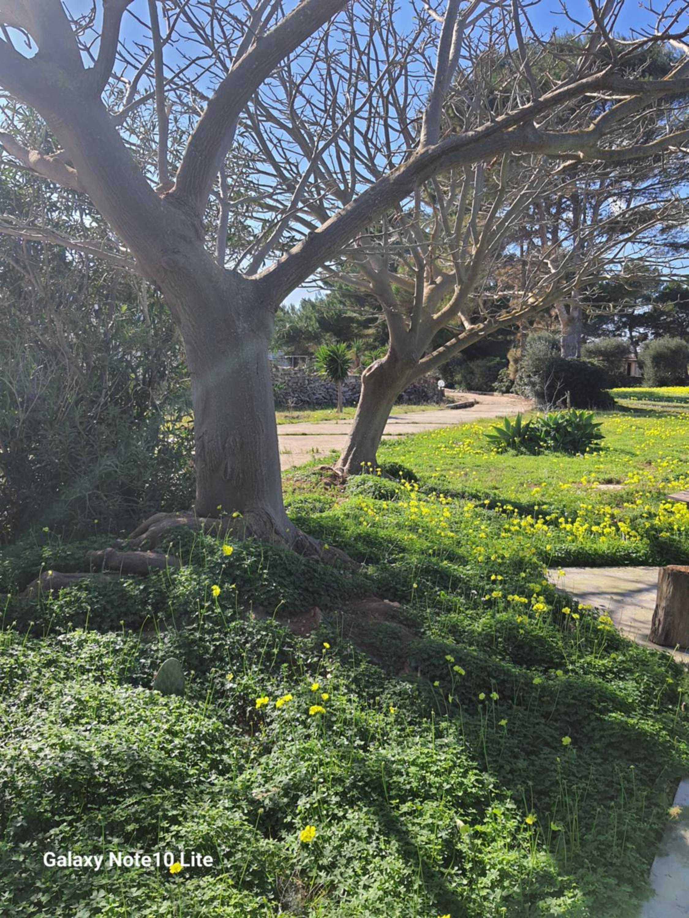 Photo 36