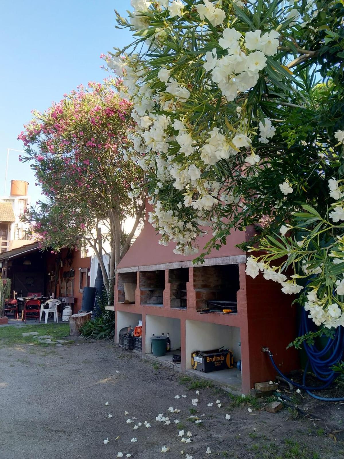 Las Grullas