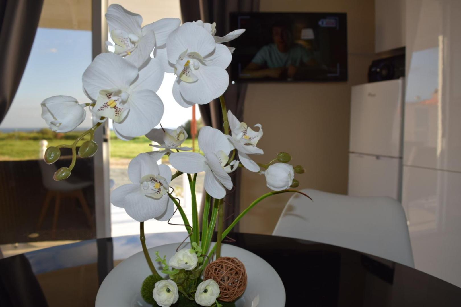 MERSINERA Paradise Garden 2