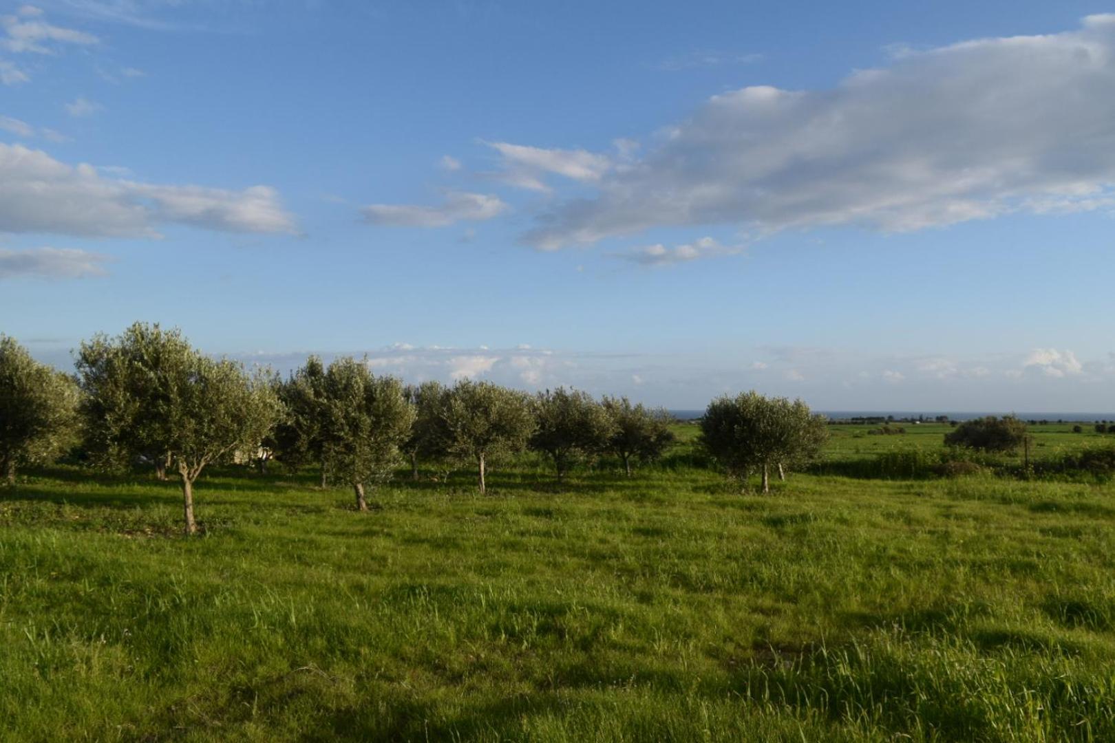 MERSINERA Paradise Garden 2