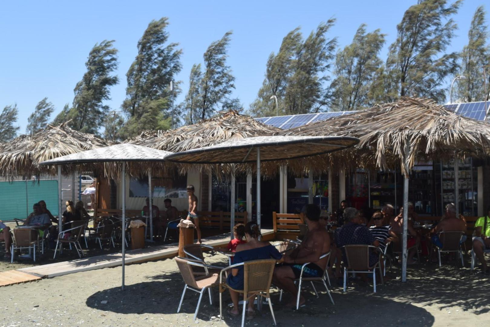MERSINERA Paradise Garden 2