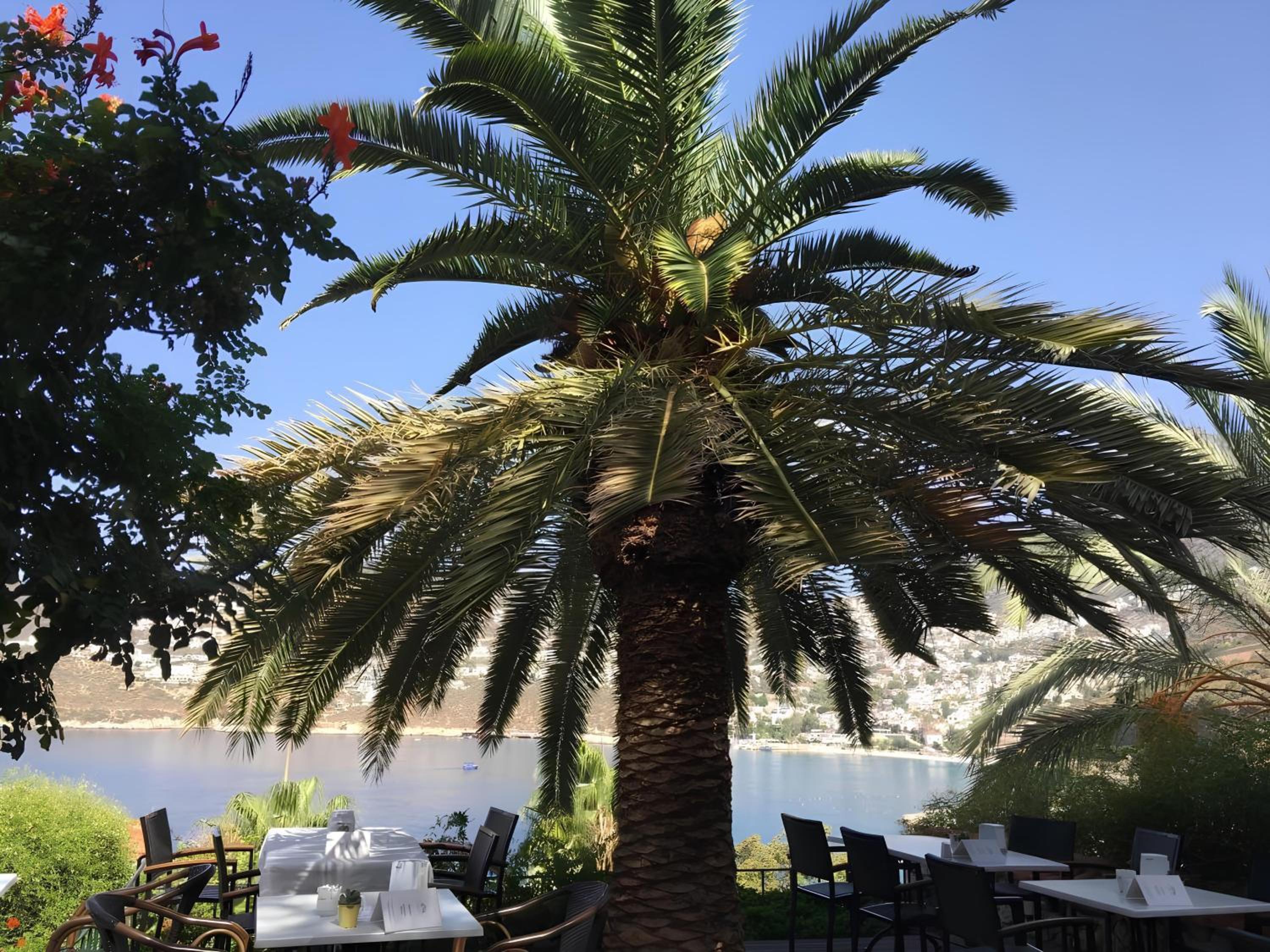 Patara Prince Otel & Tatil Köyü - Özel Kategori - Image 63